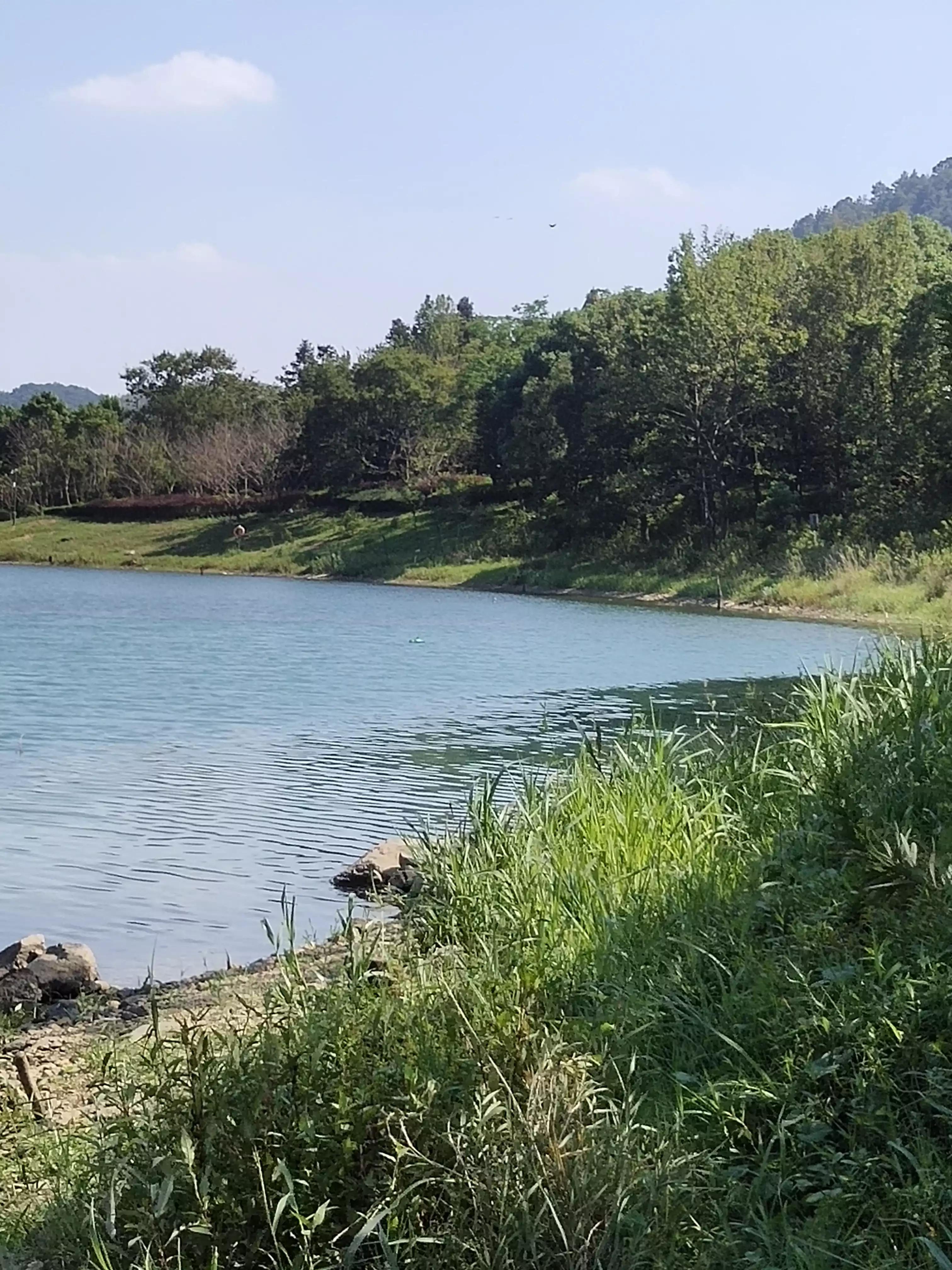 恽以欣 第2页