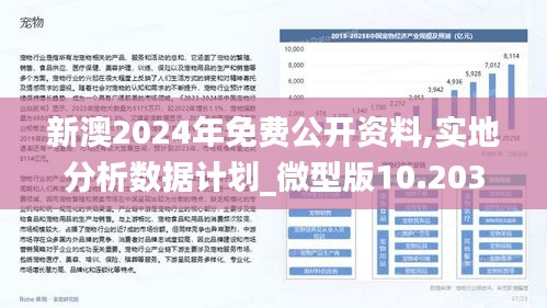 新澳2025精准正版免費資料｜精准实施解析